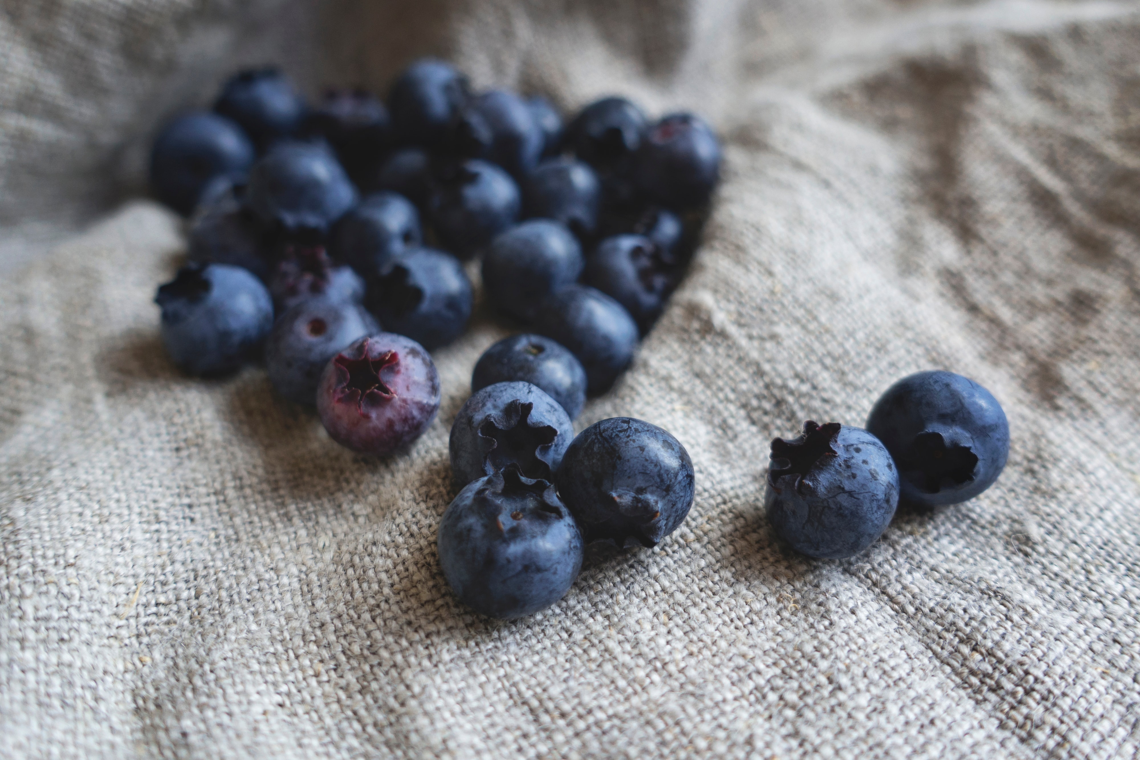 blueberries placed on gray textile